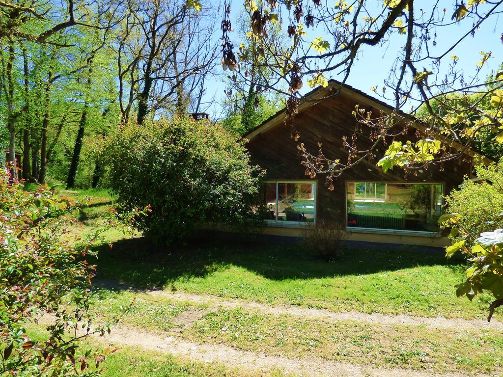 Royères-Saint-Léonard Beau Site Guimauve Et Vieilles Dentelles Bed & Breakfast エクステリア 写真