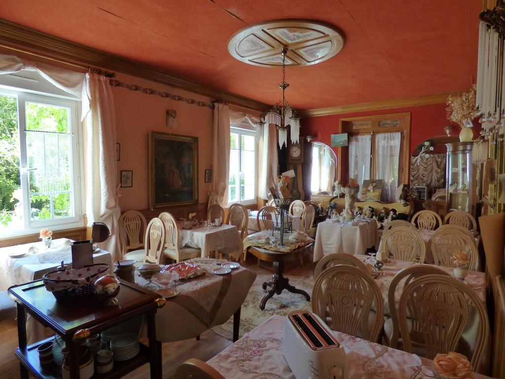 Royères-Saint-Léonard Beau Site Guimauve Et Vieilles Dentelles Bed & Breakfast エクステリア 写真
