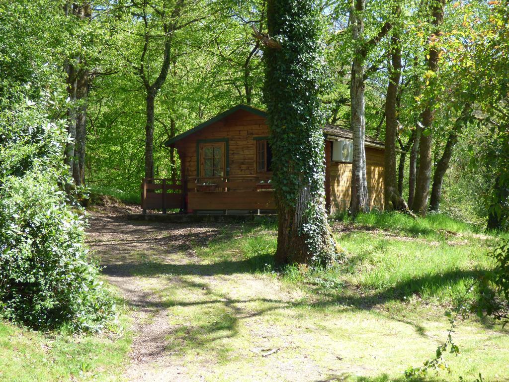 Royères-Saint-Léonard Beau Site Guimauve Et Vieilles Dentelles Bed & Breakfast エクステリア 写真